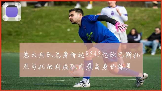 意大利队总身价达8545亿欧巴斯托尼与托纳利成队内最高身价球员